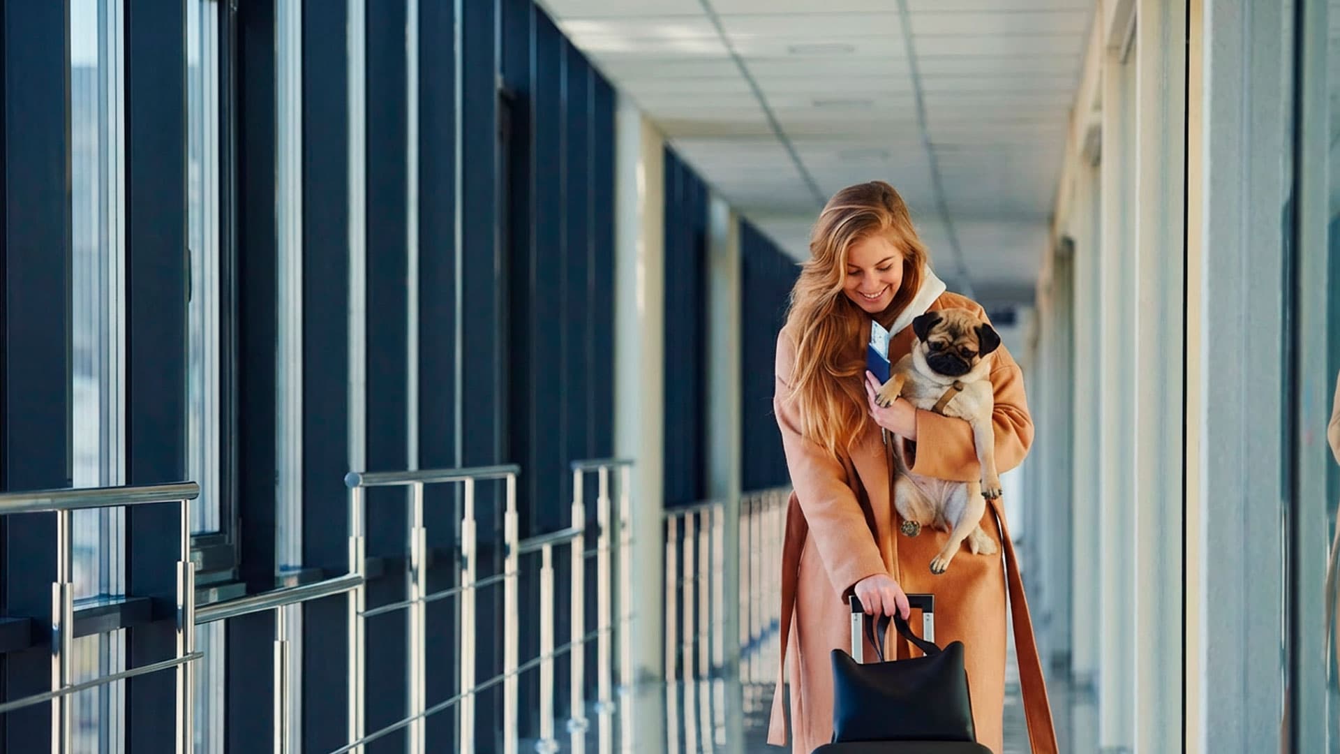 Viajeros con mascota - SegurosFly